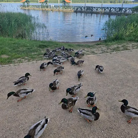 Przytulny Domek Nad Jeziorem * Gołdap